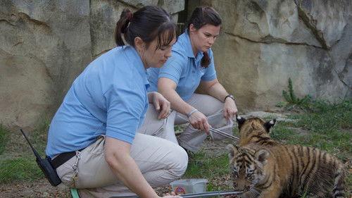 Secrets of the Zoo Season 1 Episode 1 - Stand By Your Manatee