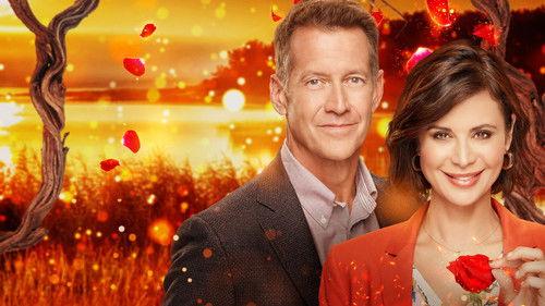 undefined Season 0 Episode 5 - Curse From a Rose