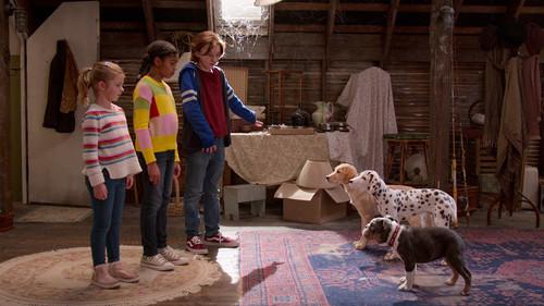 Phantom Pups Season 1 Episode 4 - Phantom Phoam