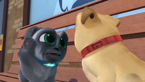 Puppy Dog Pals Season 1 Episode 17 - Don't Rain On My Pug-rade