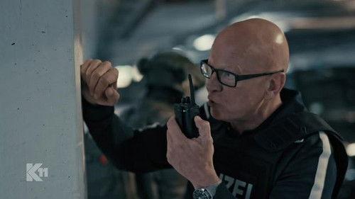 K11 - Die neuen Fälle Season 1 Episode 24 - Sidetracked