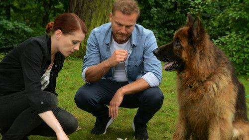 Komisarz Alex Season 10 Episode 1 - Episode 1