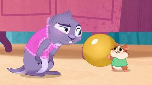 Vida the Vet Season 1 Episode 2 - Toby’s Blurry Blunders