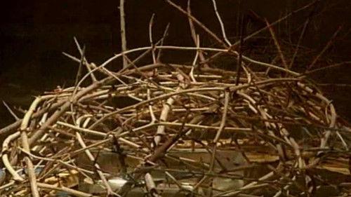 In Search of Holy Treasures Season 1 Episode 7 - The Crown of Thorns