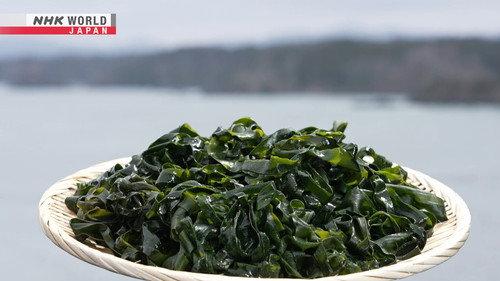 Trails to Oishii Tokyo Season 8 Episode 7 - Wakame