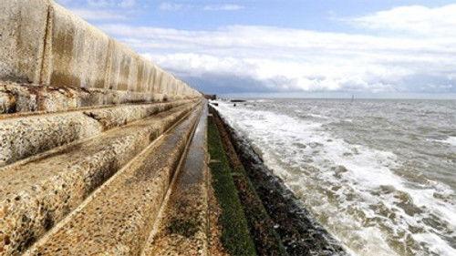 Natural World Season 29 Episode 12 - The Wild Places of Essex