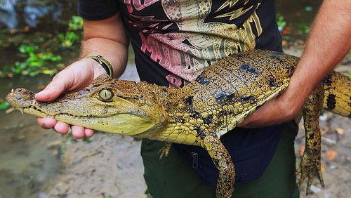 World Inside Out Season 10 Episode 2 - Episode 2