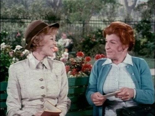 Family Affair Season 5 Episode 17 - Too Late, Too Soon
