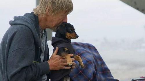 The Street Vet Season 1 Episode 5 - Mike & Crazy Girl