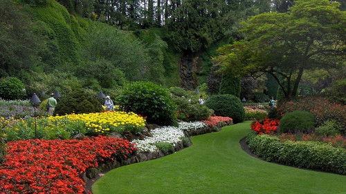 Pet Star Season 2 Episode 7 - Pet Star: 22