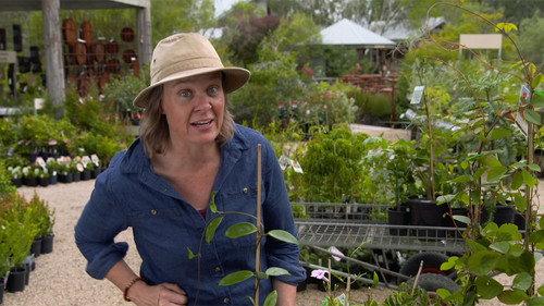 Gardening Australia Season 29 Episode 23 - Episode 23