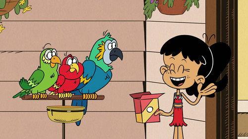 The Loud House Season 9 Episode 33 - Swimming Fools