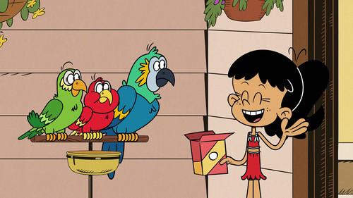 The Loud House Season 9 Episode 33 - Swimming Fools