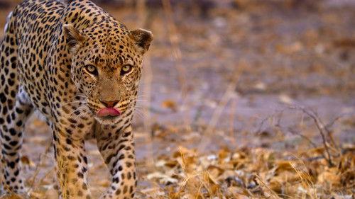 Earthsounds Season 1 Episode 10 - African Water Worlds