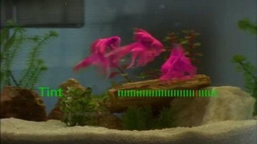 Goosebumps Season 3 Episode 5 - Click