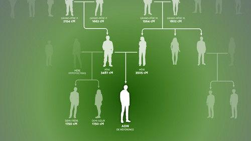 Retracer ses origines Season 1 Episode 2 - Episode 2