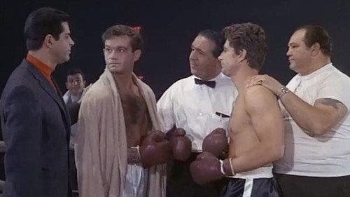 Mr. Terrific Season 1 Episode 7 - Stanley the Fighter