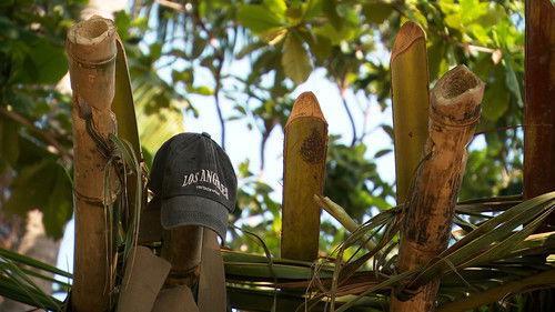 Background image for Episode 21