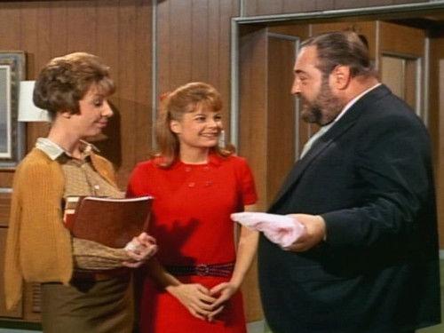 Family Affair Season 1 Episode 30 - The Butler Method