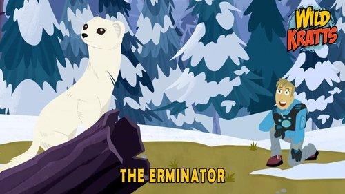 Wild Kratts Season 5 Episode 15 - The Erminator