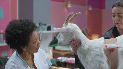 undefined Season 1 Episode 7 - The Visit