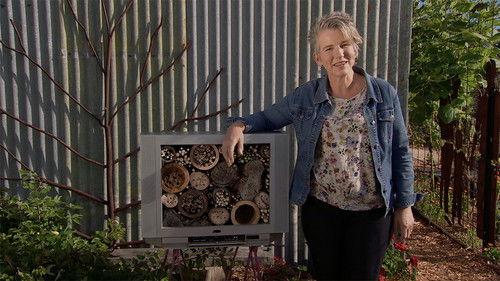 Gardening Australia Season 28 Episode 20 - Episode 20
