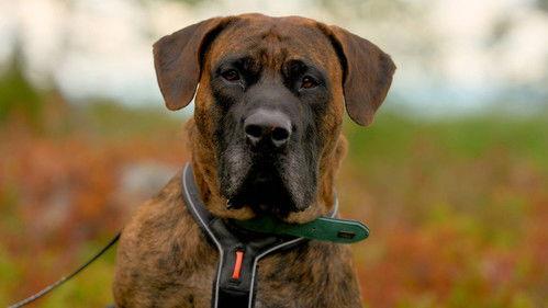 From bully to best friend Season 3 Episode 2 - Long way