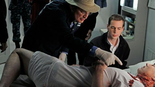 NCIS Season 8 Episode 14 - A Man Walks Into a Bar ...
