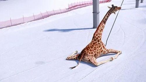 Athleticus Season 2 Episode 12 - Episode 12