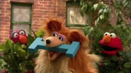 Sesame Street Season 41 Episode 15 - Fetch The Letter ‘I’