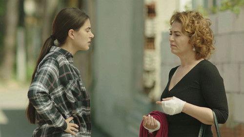 Mrs. Fazilet and Her Daughters Season 1 Episode 8 - Episode 8