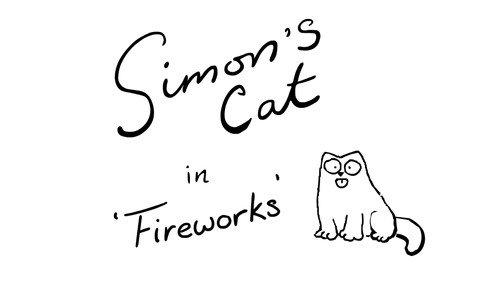Simon's Cat Season 10 Episode 13 - Fireworks