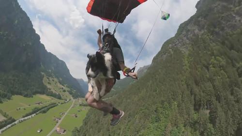 The Secret Life of Our Pets Season 1 Episode 2 - Intelligence