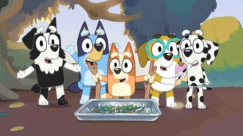 Bluey Season 1 Episode 13 - Spy Game