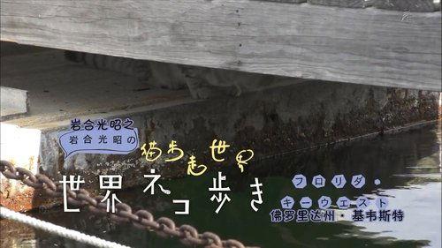 Mitsuaki Iwago's World “Cats” Travelogue Season 1 Episode 5 - Key West, Florida