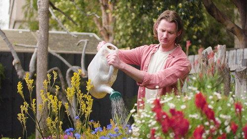 Gardening Australia Season 36 Episode 9 - Episode 9 Autumn: Special - Big Ideas for Small Spaces