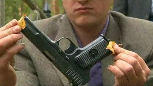 The investigation was conducted Season 6 Episode 22 - Episode 22