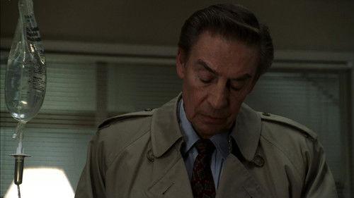 Law & Order Season 14 Episode 22 - Gaijin