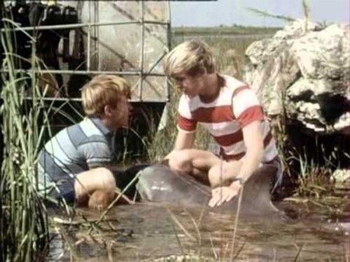 Flipper Season 2 Episode 22 - Air Power