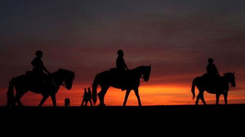 Anthony Bourdain: Parts Unknown Season 1 Episode 3 - Colombia