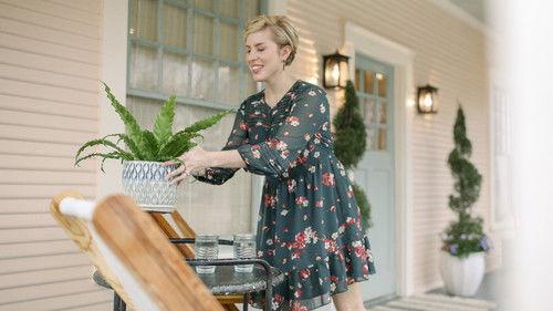 Home Town Season 4 Episode 12 - Termite Terror