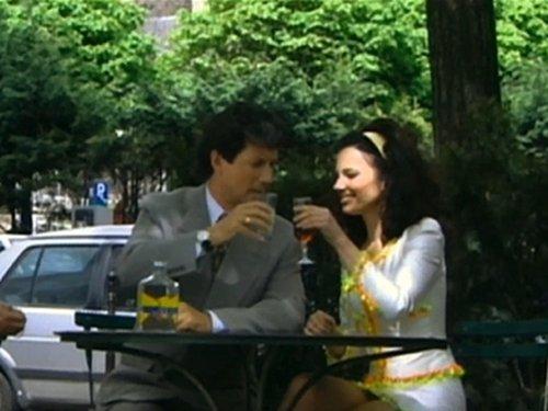 The Nanny Season 3 Episode 26 - A Pup in Paris