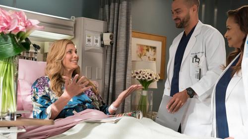 Grey's Anatomy Season 14 Episode 16 - Caught Somewhere in Time