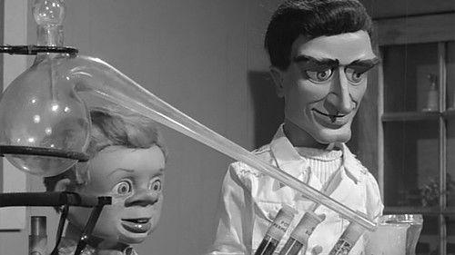 undefined Season 1 Episode 8 - Jungle Hazard