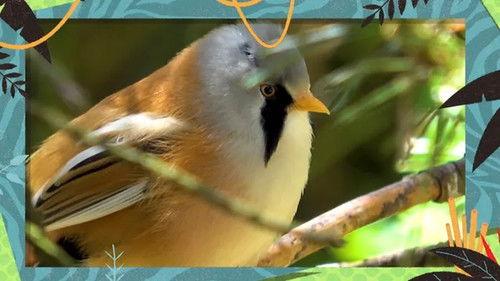 Kukurota Season 4 Episode 14 - Episode 14