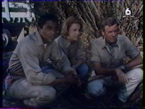 Daktari Season 1 Episode 3 - Killer Lion