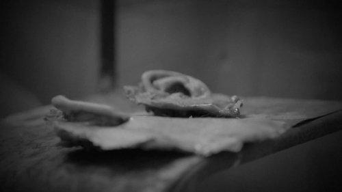 Shock Docs Season 1 Episode 5 - Bigfoot: Fear in the Woods