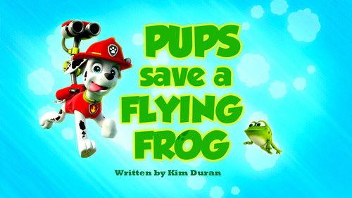 undefined Season 2 Episode 2 - Pups Save a Flying Frog