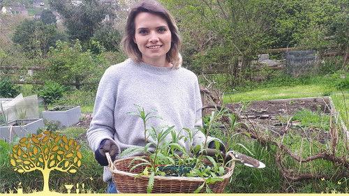 Gardeners' World Season 56 Episode 12 - Episode 12