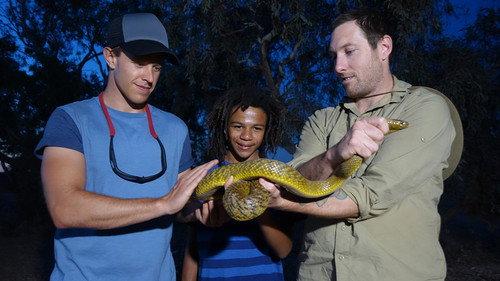 Bushwhacked! Season 3 Episode 7 - Inland Taipan